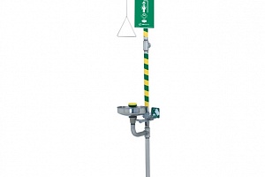 8300 AXION 
